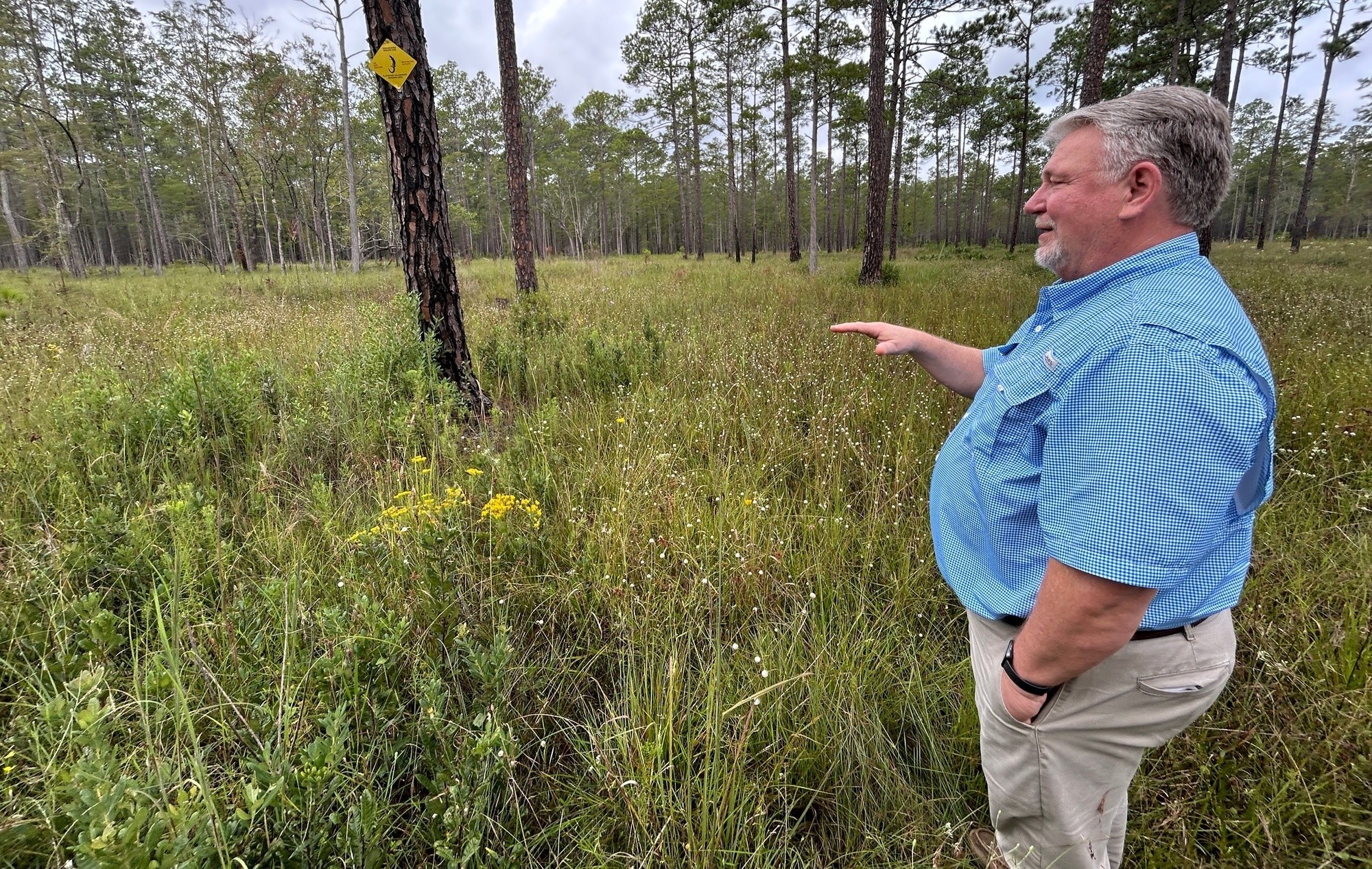 Fort Stewart Hails Several Conservation Milestones